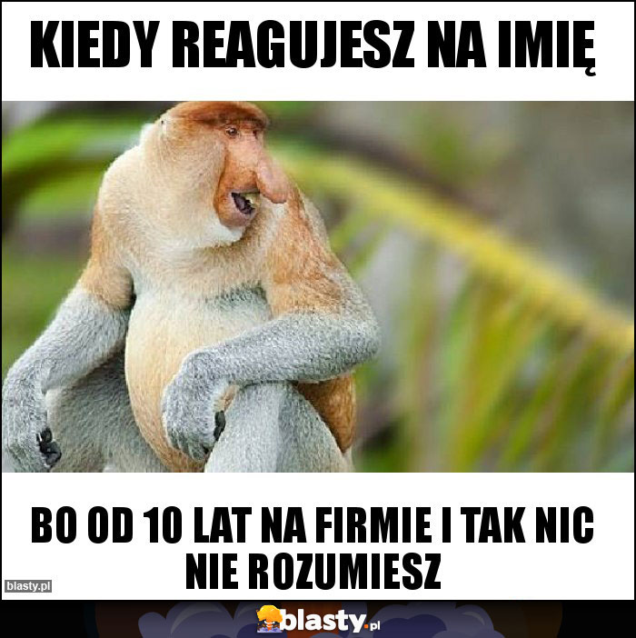 Kiedy reagujesz na imię