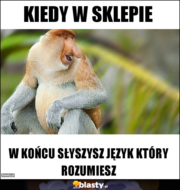 Kiedy w sklepie