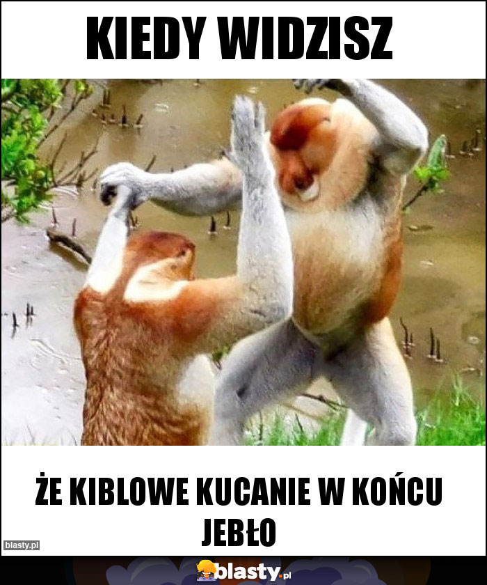 kiedy widzisz