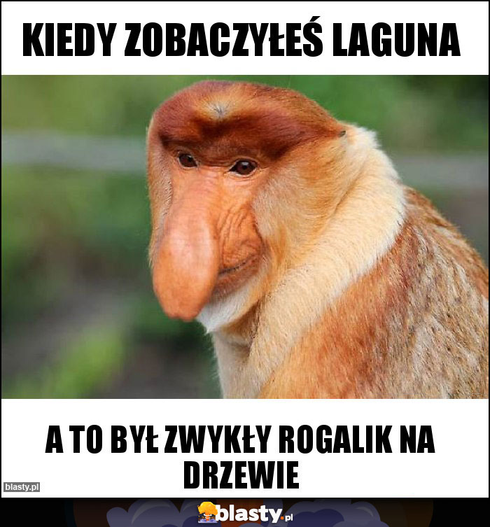 KIEDY ZOBACZYŁEŚ LAGUNA