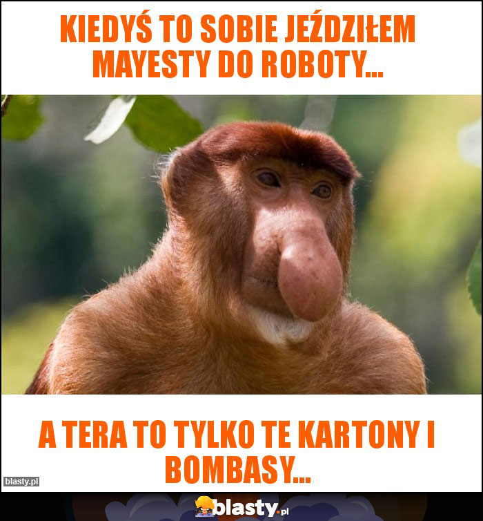 Kiedyś to sobie jeździłem mayesty do roboty...