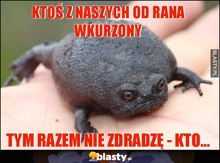 Ktoś z naszych od rana wkurzony