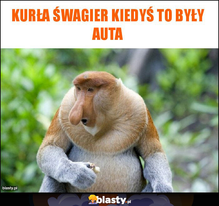 Kurła Śwagier kiedyś to były auta