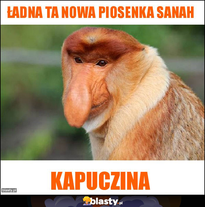 Ładna ta nowa piosenka sanah