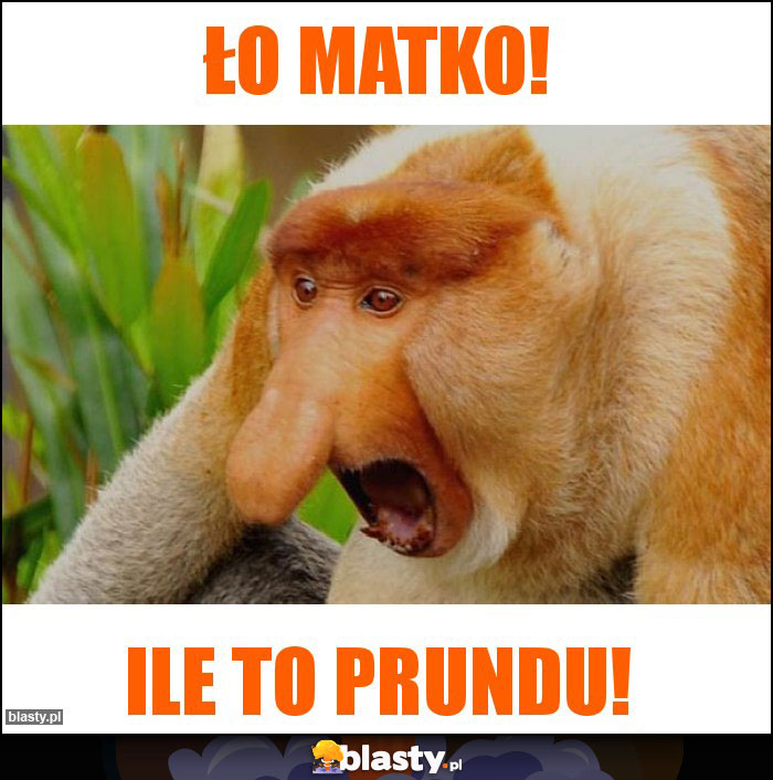 Ło matko!