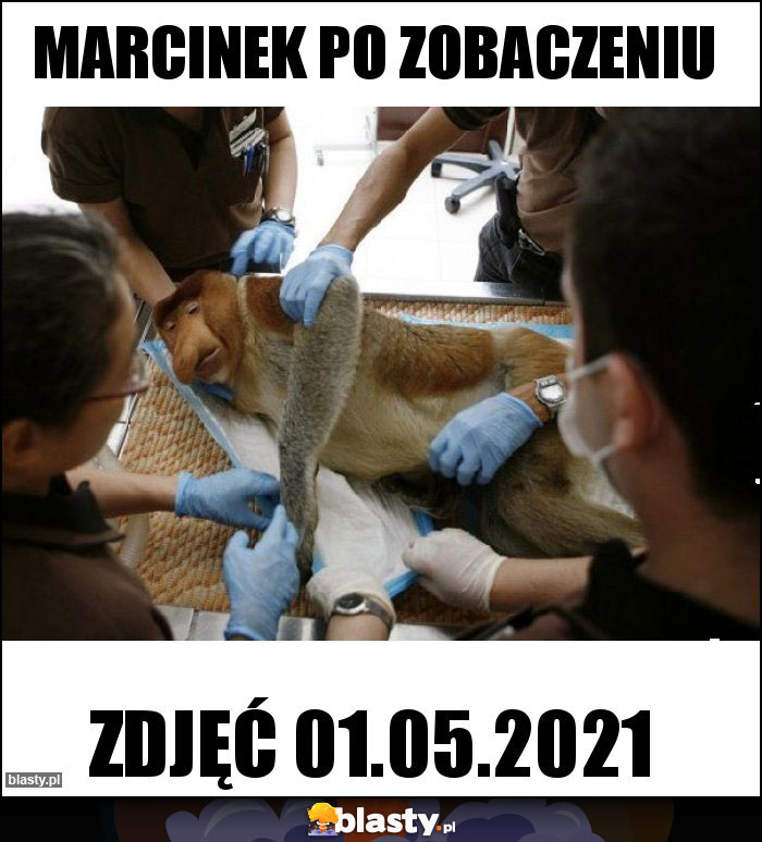 Marcinek po zobaczeniu