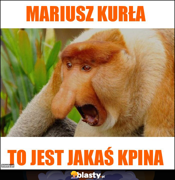 Mariusz kurła