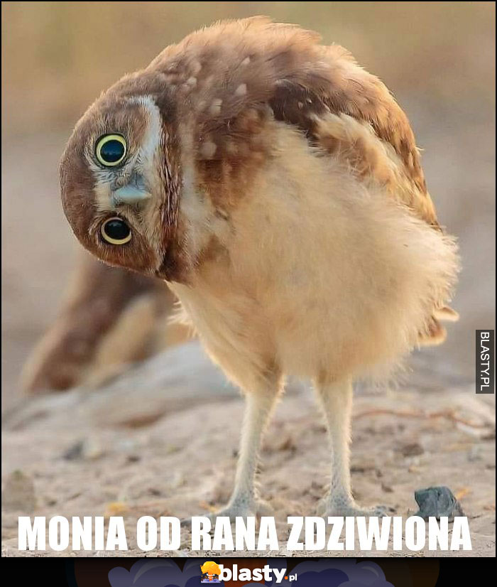 Monia od rana zdziwiona