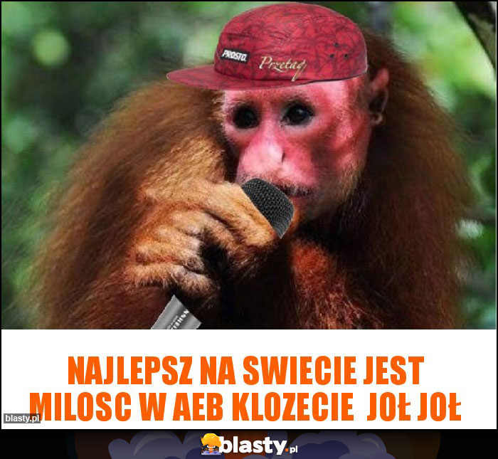 NAJLEPSZ NA SWIECIE JEST MILOSC W AEB KLOZECIE  JOŁ JOŁ