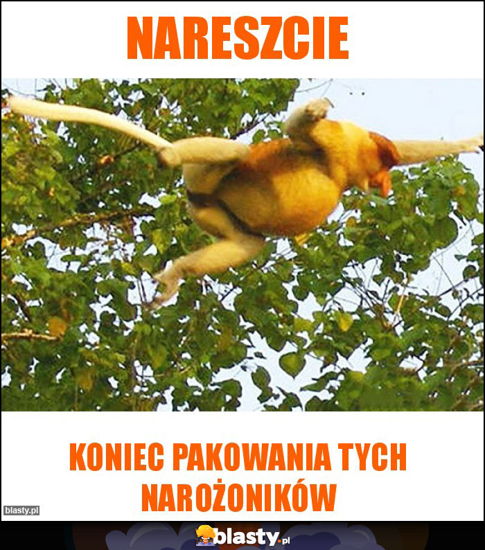 nareszcie