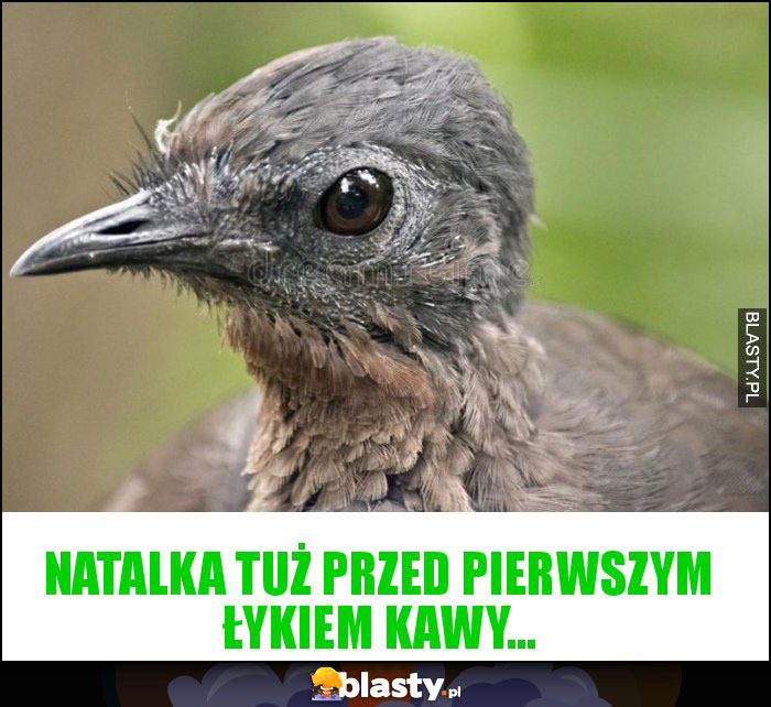 Natalka tuż przed pierwszym łykiem kawy...