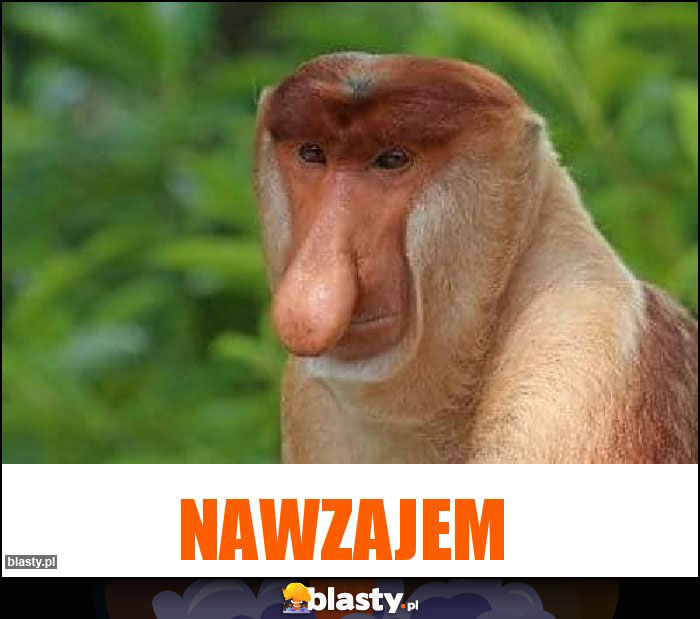 NAWZAJEM