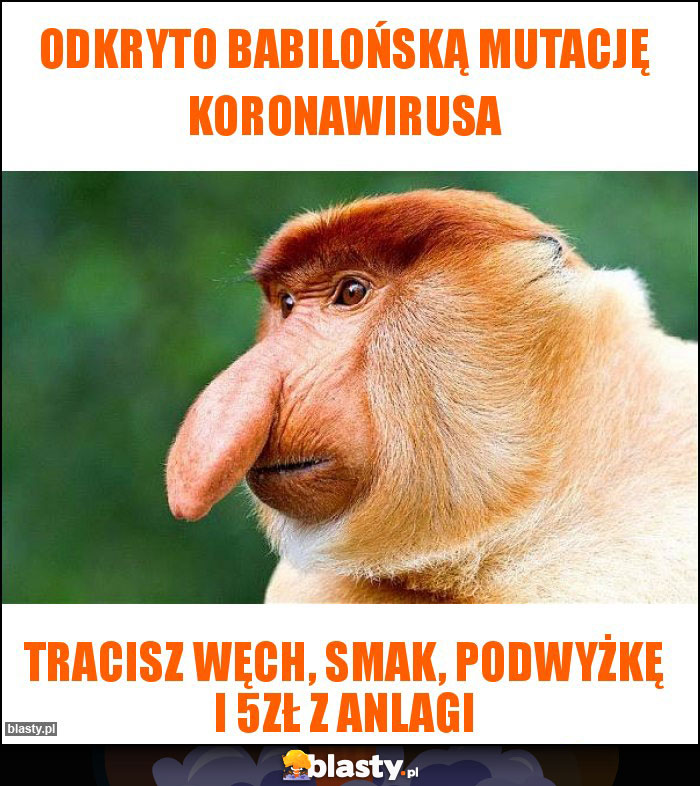 ODKRYTO BABILOŃSKĄ MUTACJĘ KORONAWIRUSA