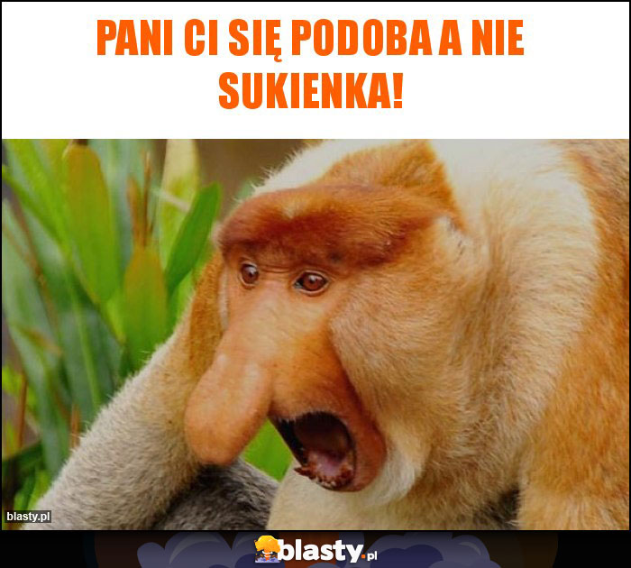 Pani ci się podoba a nie sukienka!