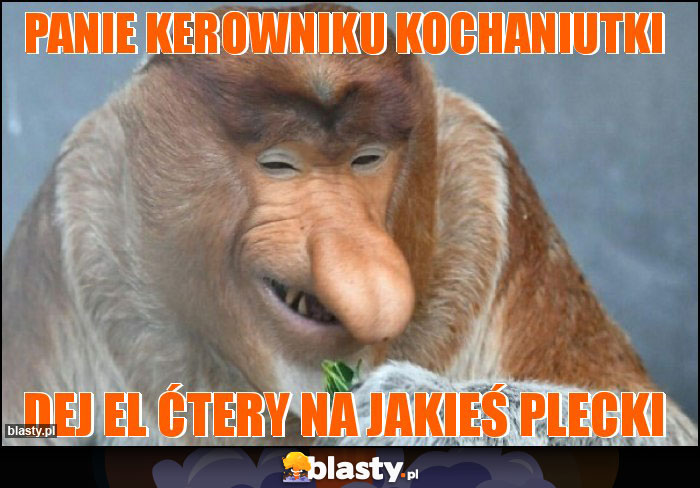 Panie kerowniku kochaniutki