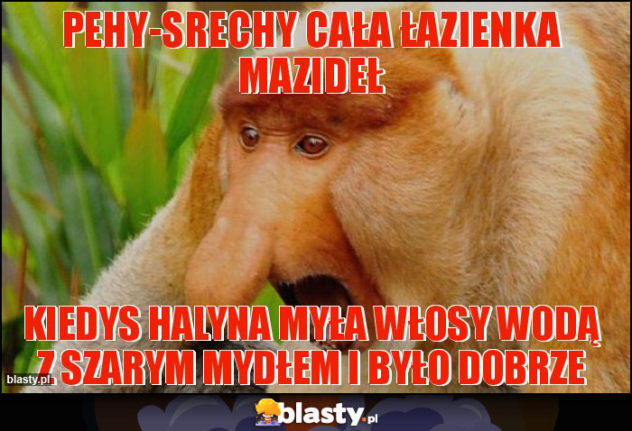 PEHY-SRECHY CAŁA ŁAZIENKA MAZIDEŁ