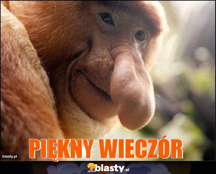 Piękny wieczór