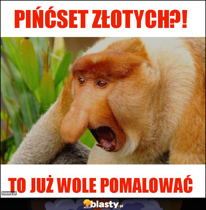 PIŃĆSET ZŁOTYCH?!