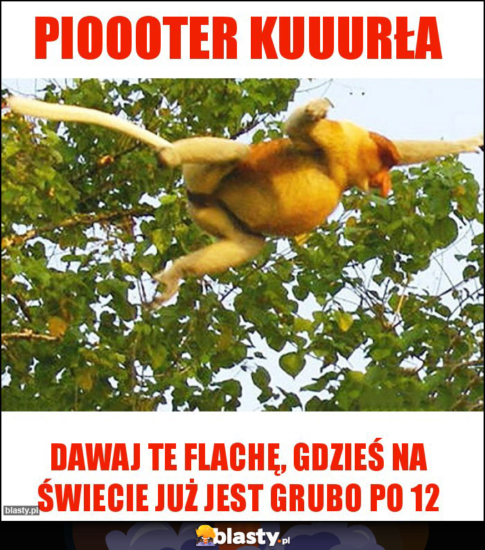 Pioooter kuuurła