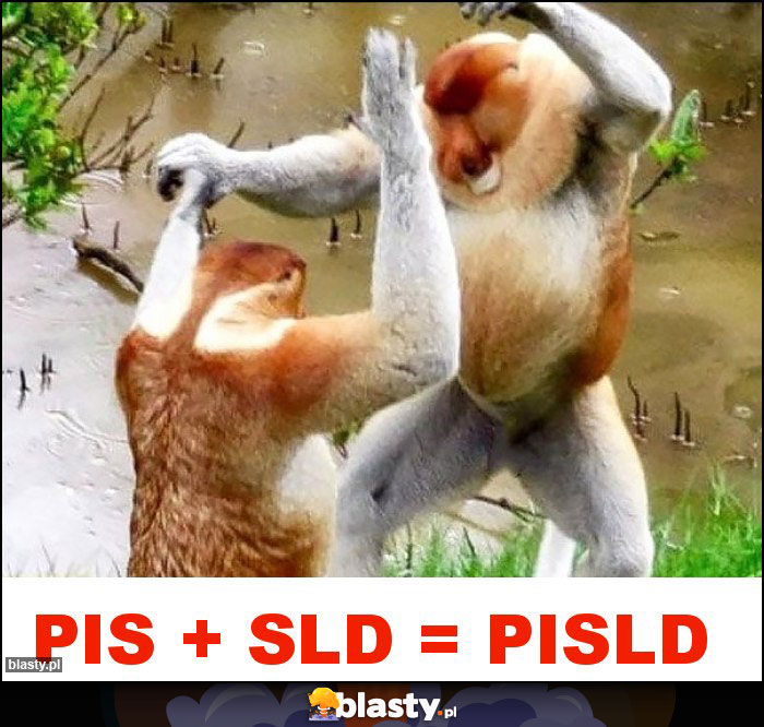 PiS + SLD = PISLD