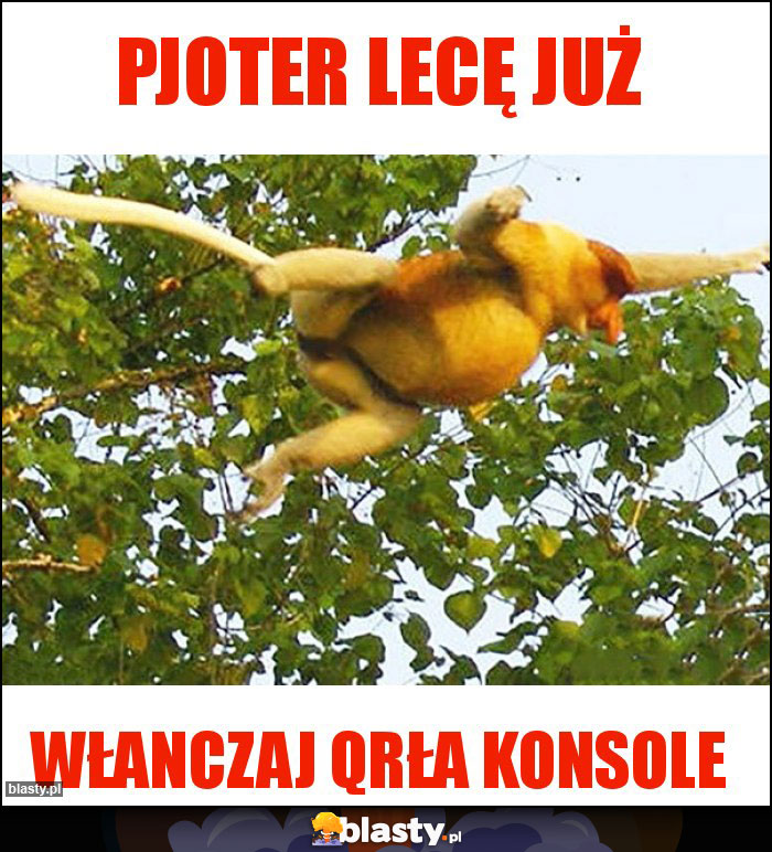 Pjoter lecę już