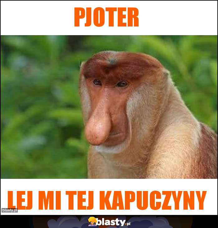 Pjoter