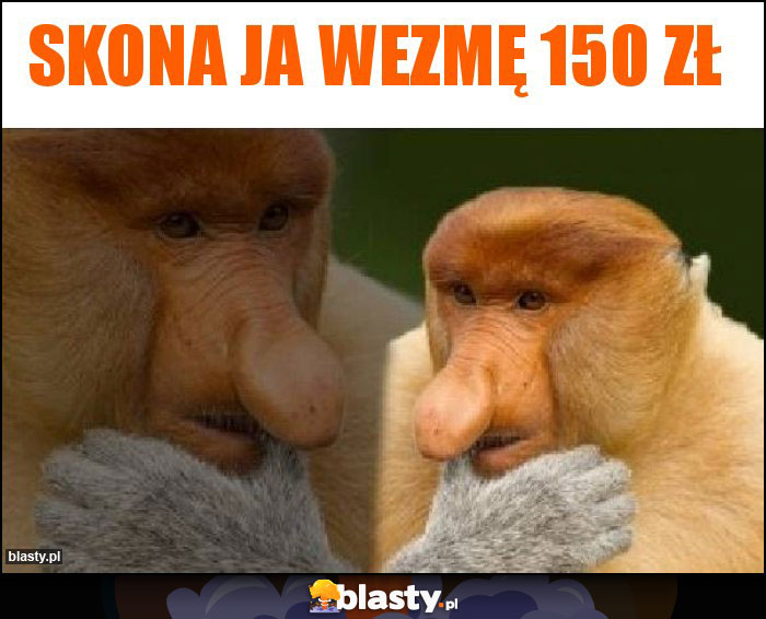 Skona ja wezmę 150 zł