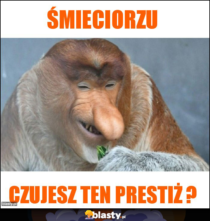 Śmieciorzu