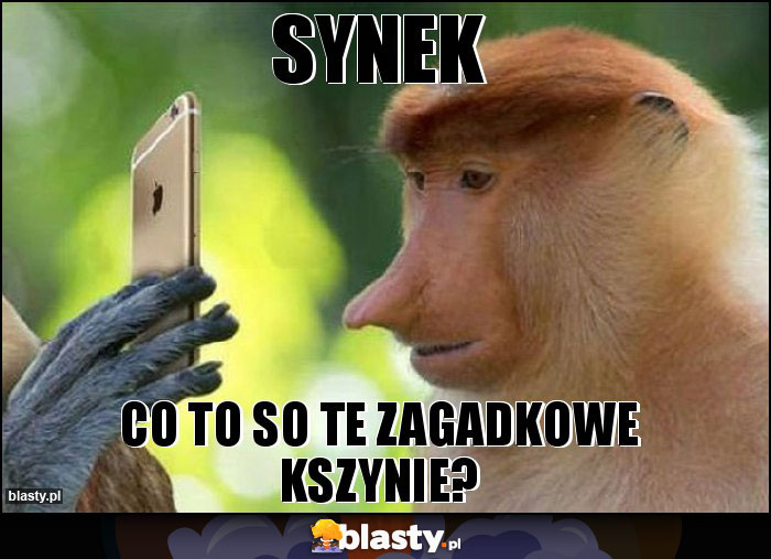 Synek