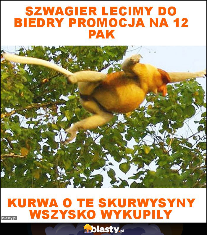 Szwagier lecimy do biedry promocja na 12 pak