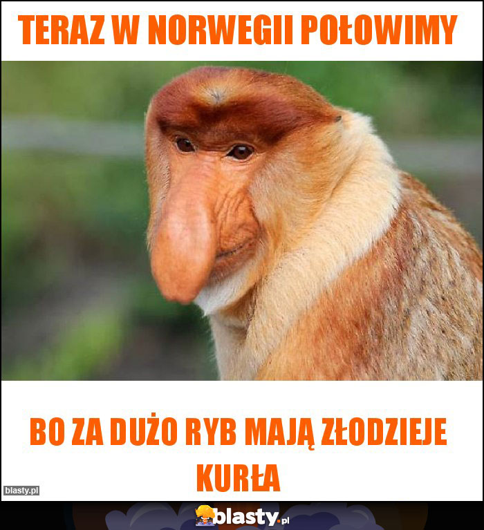 Teraz w Norwegii połowimy