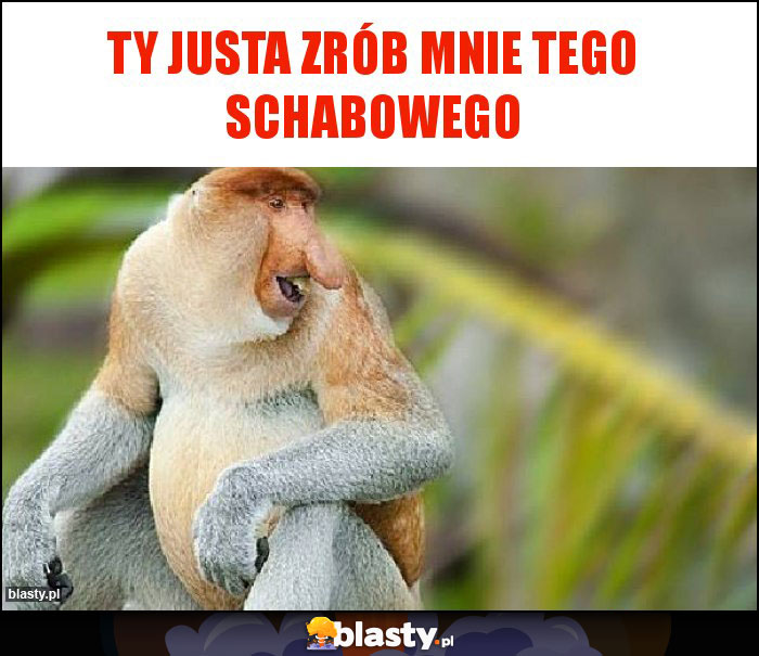 Ty Justa zrób mnie tego schabowego