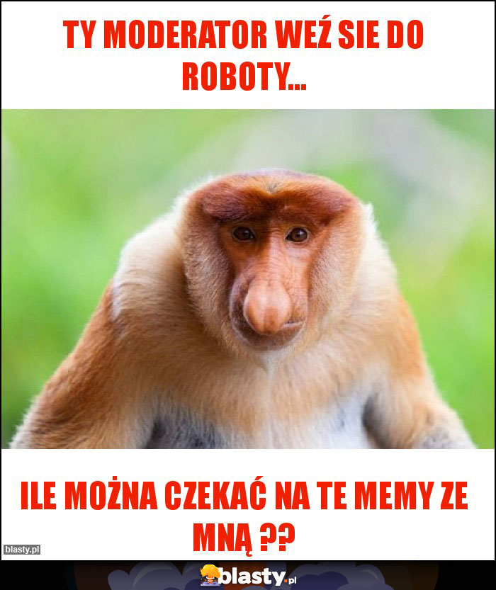 Ty moderator weź sie do roboty...