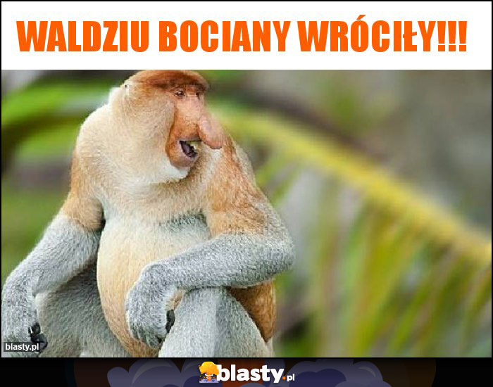 Waldziu bociany wróciły!!!