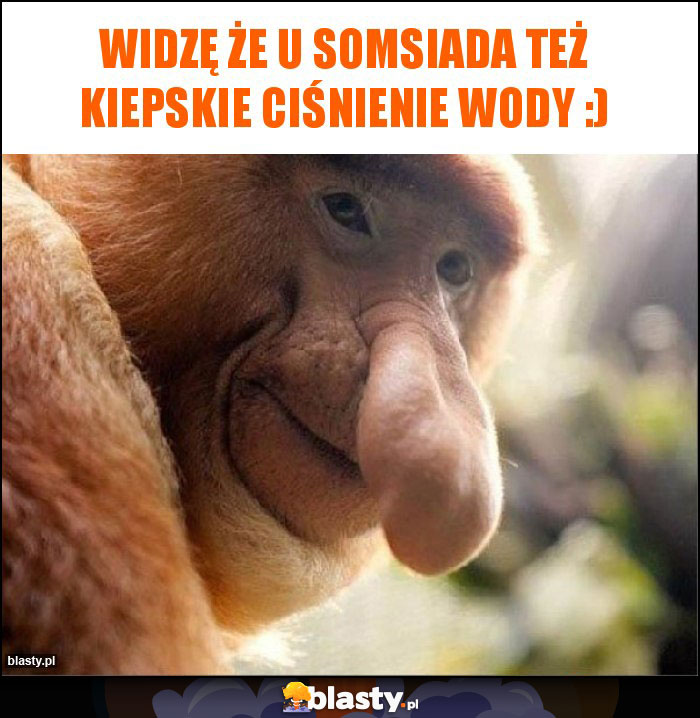 Widzę że u somsiada też kiepskie ciśnienie wody :)