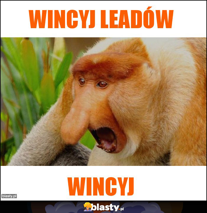 WINCYJ LEADÓW