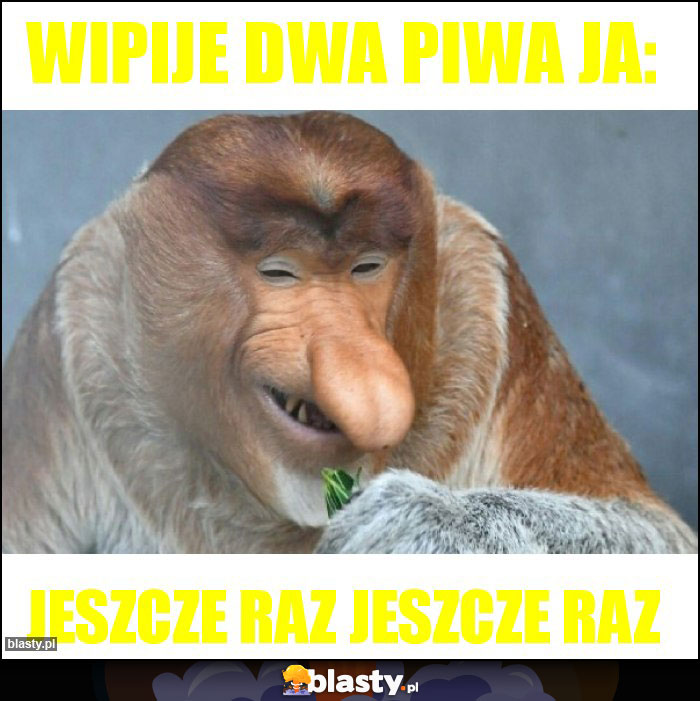 wipije dwa piwa ja: