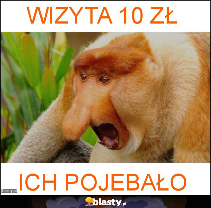 wizyta 10 zł