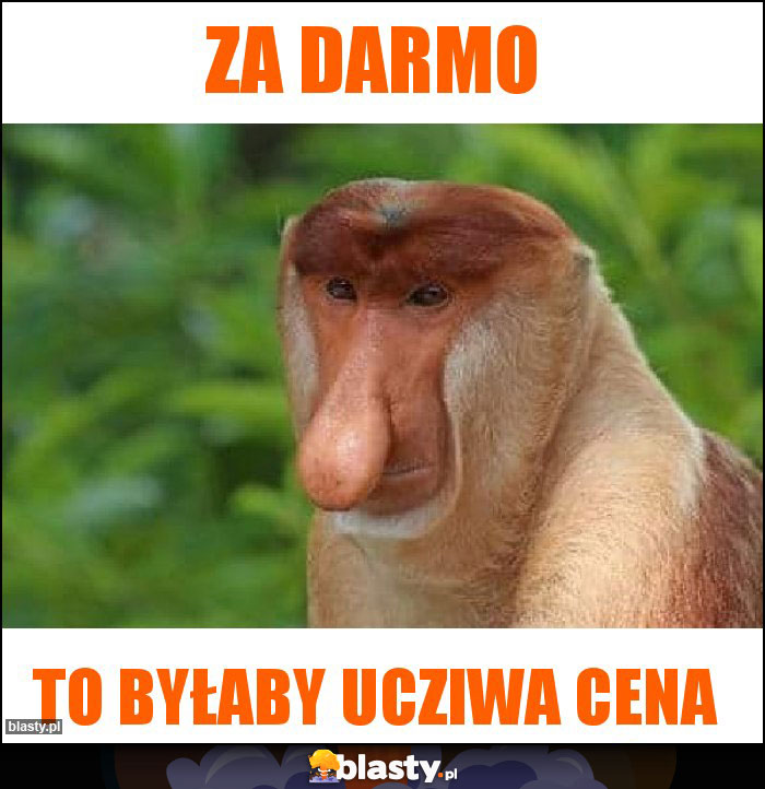 Za darmo