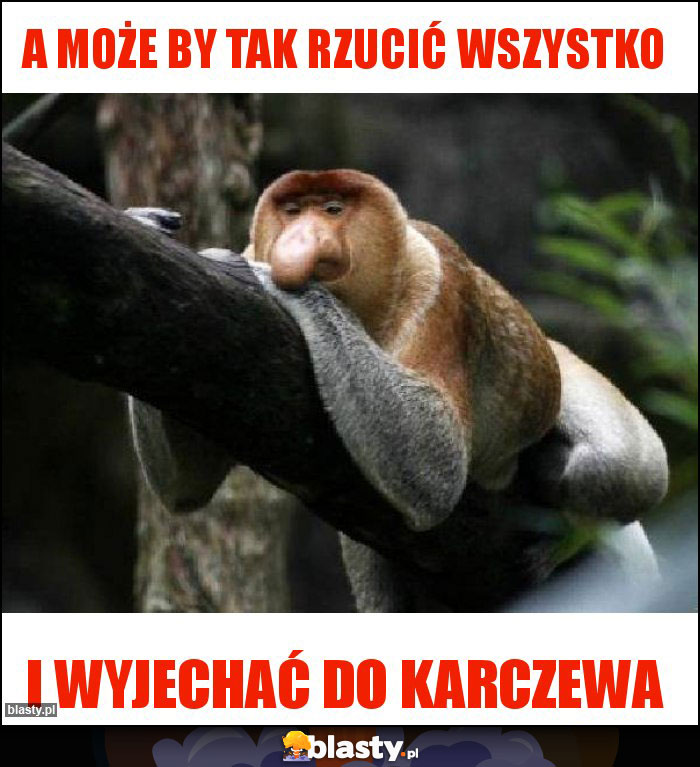 A MOŻE BY TAK RZUCIĆ WSZYSTKO