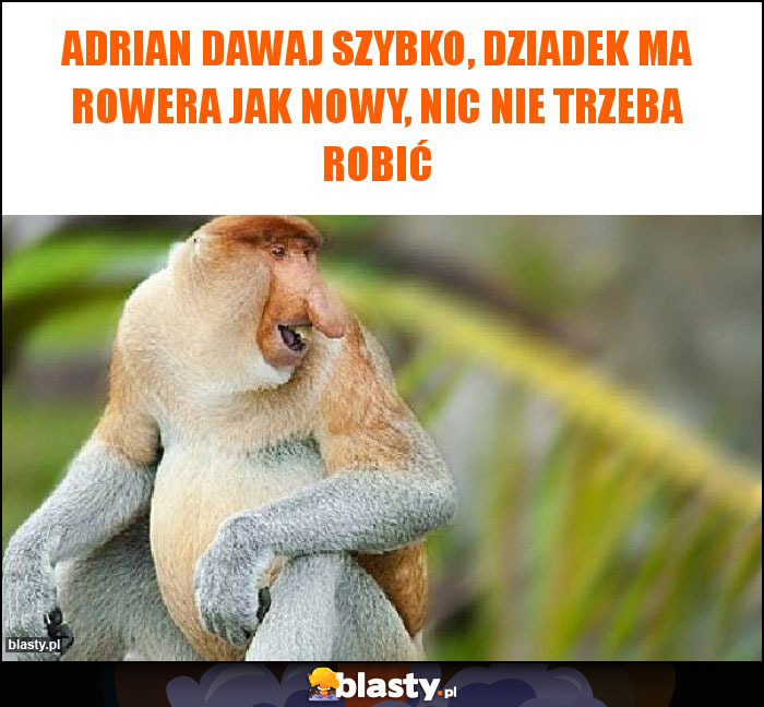 Adrian dawaj szybko, dziadek ma rowera jak nowy, nic nie trzeba robić