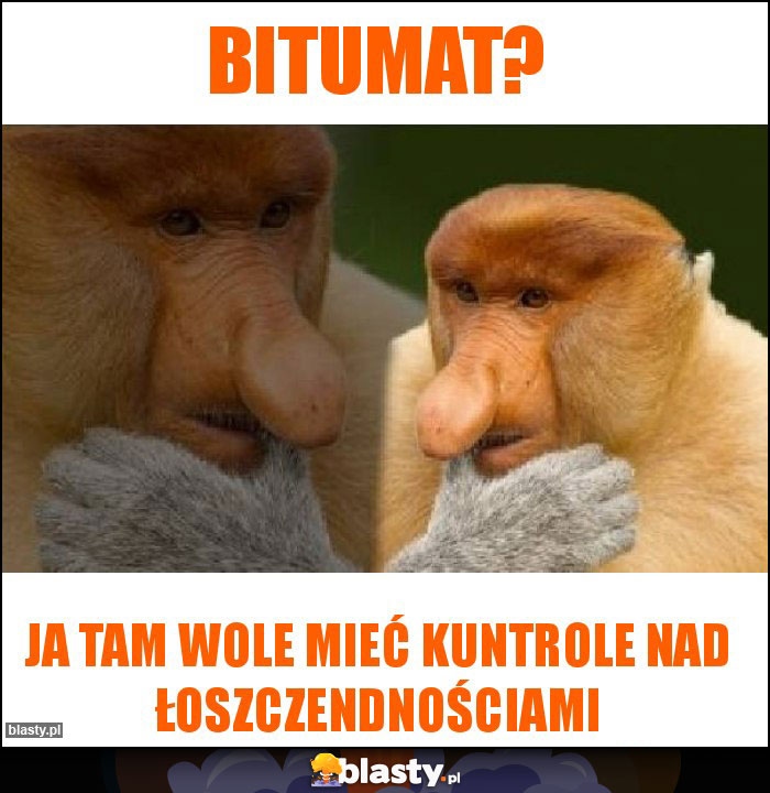 Bitumat?