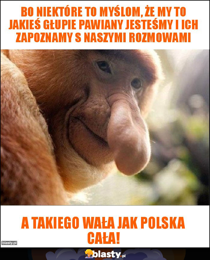 Bo niektóre to myślom, że my to jakieś głupie pawiany jesteśmy i ich zapoznamy s naszymi rozmowami