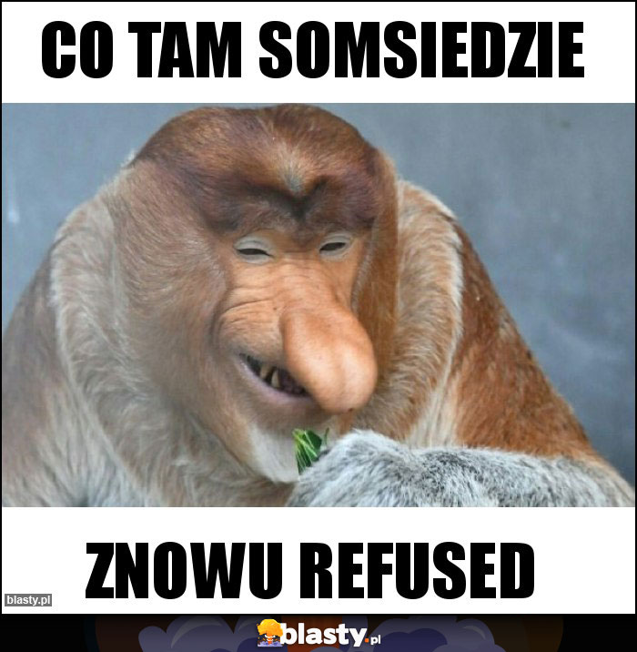 CO TAM SOMSIEDZIE