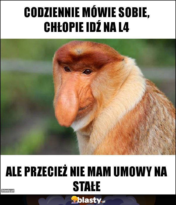 CODZIENNIE MÓWIE SOBIE, CHŁOPIE IDŹ NA L4