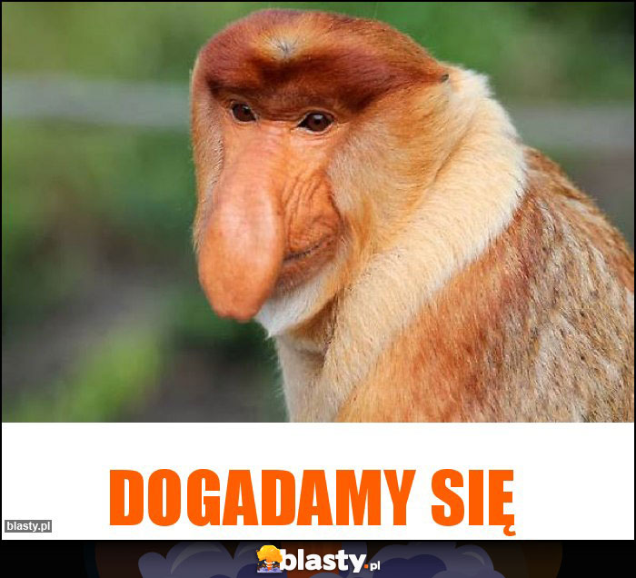 Dogadamy się