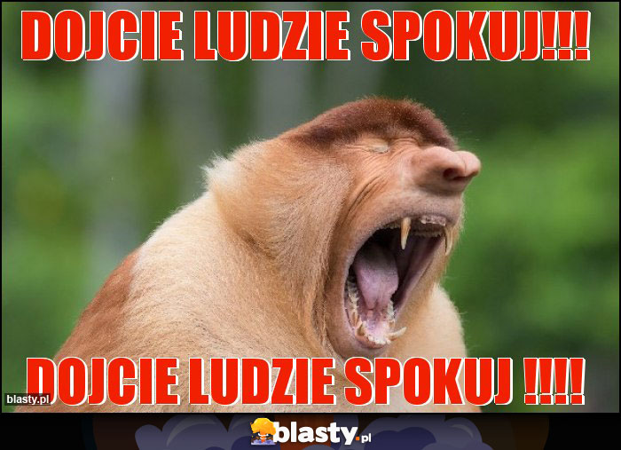 Dojcie ludzie spokuj!!!