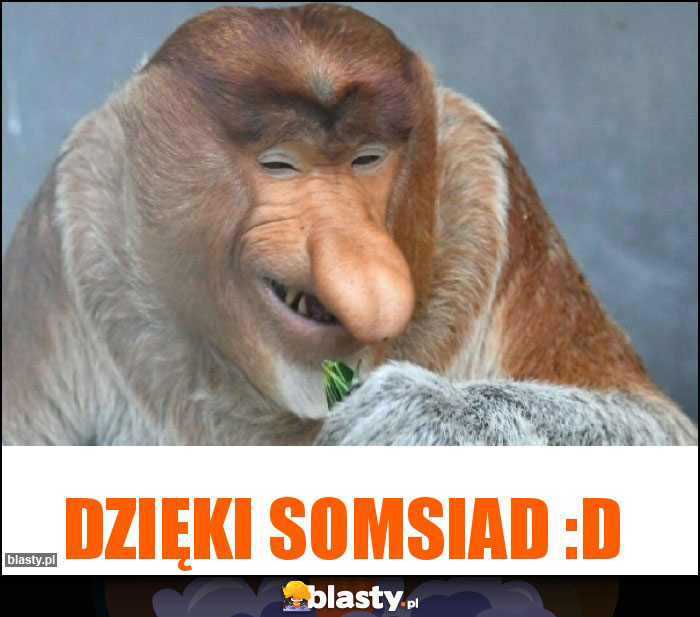 DZIĘKI SOMSIAD :D