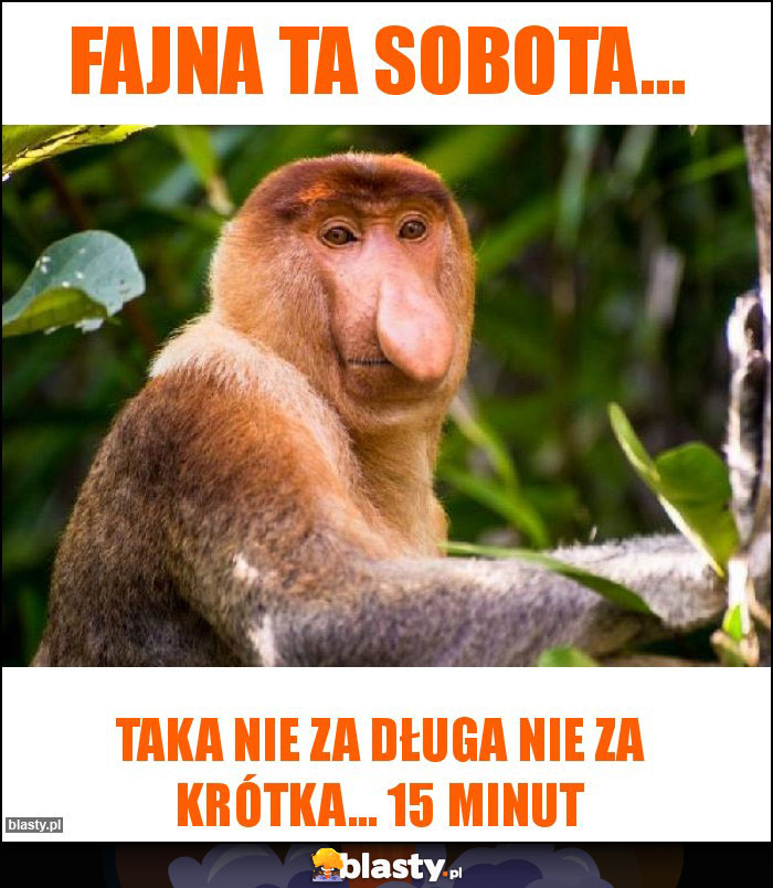 Fajna ta sobota...