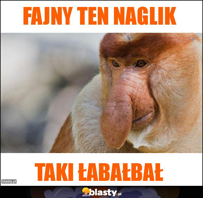 Fajny ten naglik